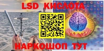 гидра Кингисепп