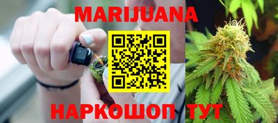 гидра Кингисепп