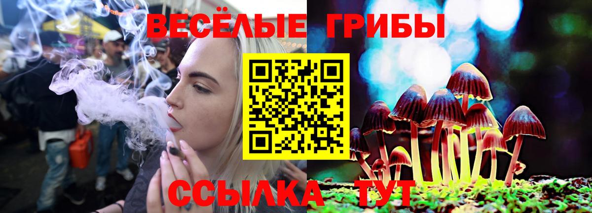 Галлюциногенные грибы Magic Shrooms  Вход с VPN  Котлас 
